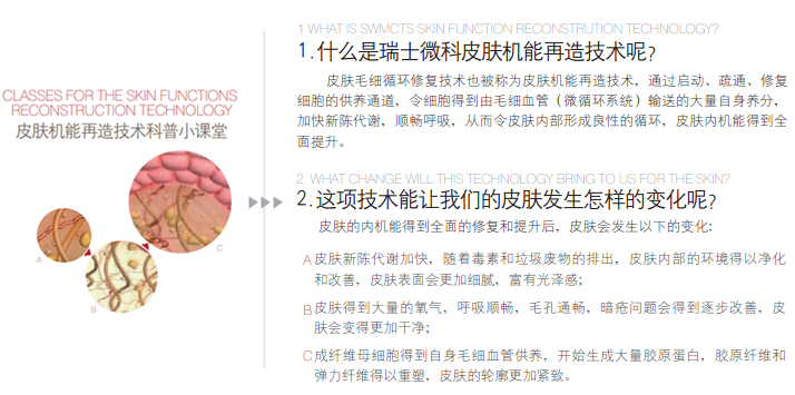 皮肤机能再造技术发明人DR.HORST